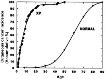 Figure  23: skin cancer incidence as a function of age. The mean age of cancer  incidence in 830 XP patients versus in the general population (Normal) is of 8 and 58  years, respectively (according to: (Kraemer, Lee et al