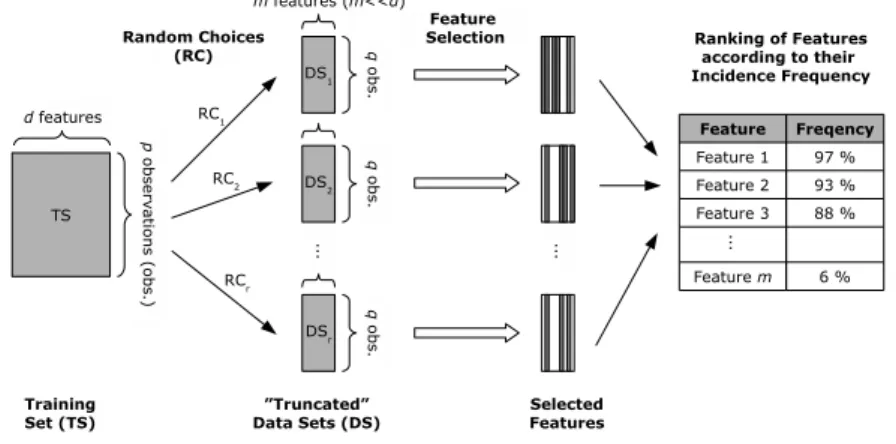 Fig. 1. Assessing the relative importance of each feature in the tissue identiﬁcation process