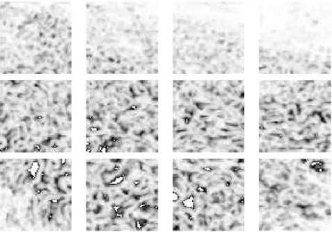 Figure 8: River sequence: Blocks of residual motion measures of size   at a given instant of the sequence