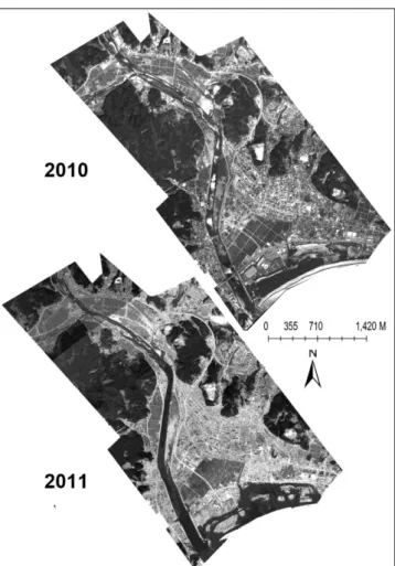 Fig.  3  The  2010  Geoeye  imagery  and  the  2011  aerial  photographs  mounted,  orthorectified  and georeferenced for the area of Rikuzentaka and the Kesen River