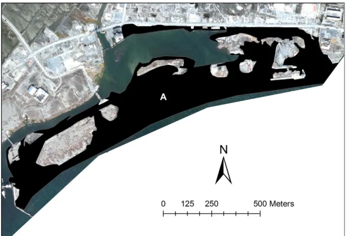 Fig.  4  Area  lost  to  the  tsunami  in  March  2011  (A).  The  exact  causes  of  this  loss  cannot  be  solely determined from aerial photographs as it could be a mix of subsidence and erosion