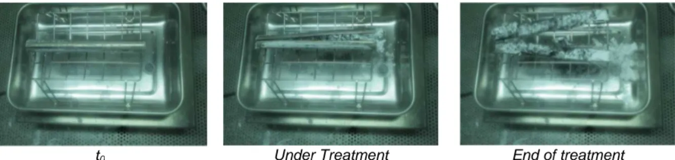 FIG. 3. Illustration of the carbonation treatment of sodium contained into a mock-up of absorber pins  Secondly, the so prepared pins are introduced into a facility where a carbonation treatment is  realized