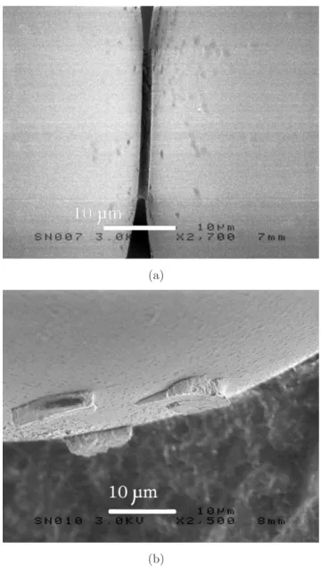 Fig. 2.10 – Photographies faites par MEB (Microscopie Electronique `a Balayage) de ponts solides dus `a des r´eactions chimiques entre le verre sodo-calcique et l’eau
