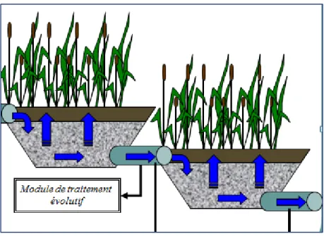 Figure 1- prétraitement sur un bassin de macrophytes. 