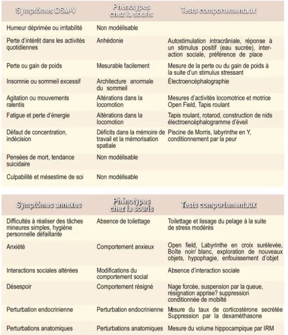 Tableau 8: Les modèles animaux caractéristiques des symptômes dépressifs humains  D’après (Nina Dedic, 2011)