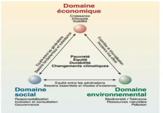 Figure 1. Les éléments clés du développement durable et leurs interactions 