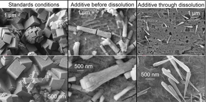 Figure 7 : SEM (ETD) pictures of Mo / Zr precipitates formed after 22 hours in standards conditions, with an additive  before the introduction of the spent fuel and through the dissolution process in the same amount