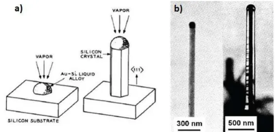 Figure  I-14 :  (a)  Représentation  schématique  de  la  croissance  VLS  d’un  NF  de  silicium,  sur  substrat  silicium,  montrant  la  formation  d’un  alliage  Au - Si  et  la  cristallisation  du  Si  au  niveau  de  l’interface  liquide-solide, qui