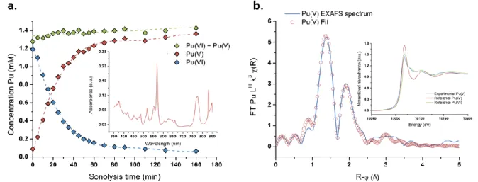 Figure 1 : a. Evolution  des concentrations  de Pu(VI) et Pu(V)  mesurées à 21°C sous  haute fréquence  ultrasonore (203 kHz,  0,13 W.mL -1 , Ar/(20%)O 2 ), l’insert représente le spectre UV-Vis du Pu(V) obtenu après 160 min de sonolyse