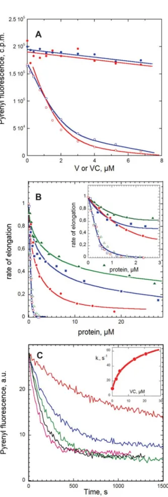 FIGURE 4. Functional properties of V, VC, and VCA in actin assembly. A, effects of V and VC on the amount of F-actin assembled at steady state