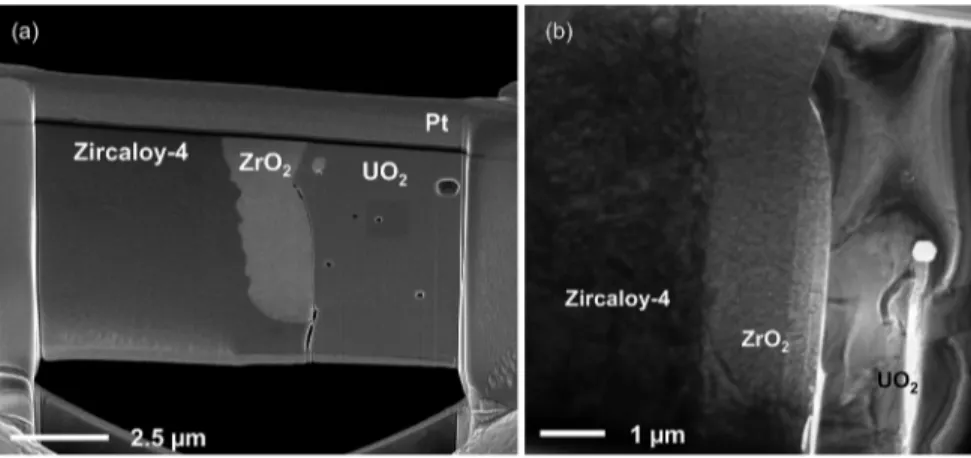 Fig. 12. SEM micrograph in SE contrast of the extracted and welded thin sample before the ﬁnal thinning step (a), and bright ﬁeld TEM micrograph of the Zy-4jZrO 2 jUO 2 interfaces (b).