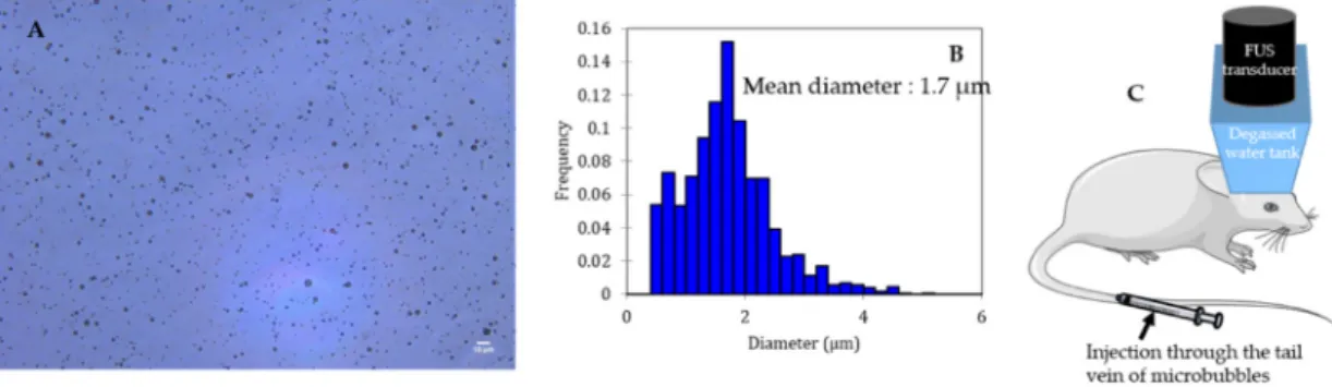 Figure 2. Size distribution characterization of a lipid shelled microbubble solution. Shell composition: 