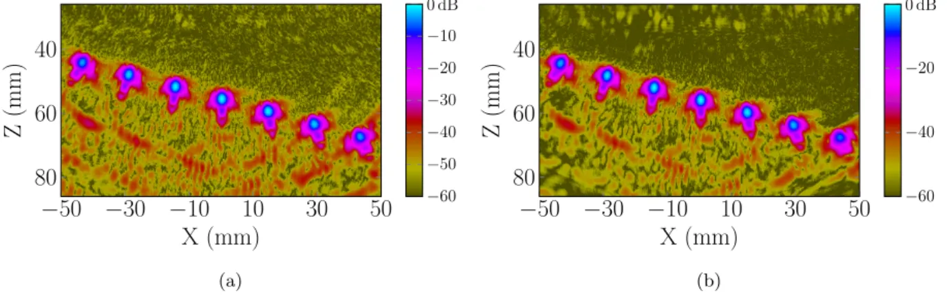 Figure 7: Experimental images obtained by applying both the TFM (a) and PWI (b) algorithms to the same set of FMC data.