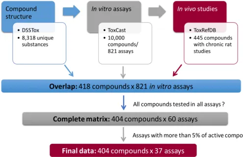 Figure 4.1: Schema of the process to obtain the final data for the in vivo constrained datasets.