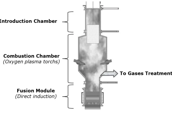 Fig. 2. Heart of the PIVIC process schematic diagram. 