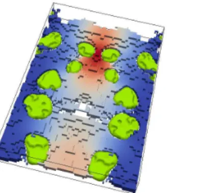 Figure 1: Concentration field inside a micro-fracture  filed with gas bubbles (in green) at saturation of 0.78