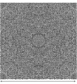 Figure 2. Elementary pattern of the recommended 48-orders CSIG approximated by two levels (black and white)