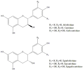 Figure 8: Structure des composés de type 2R,3S (en bas), avec différents exemples de