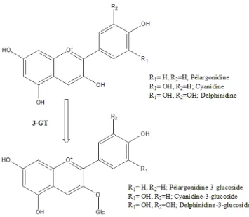 Figure 9 : Schéma des structures de composés de type anthocyanidine anthocyanes (en bas), après action de la 3