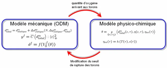 Fig. 10. Principe du modèle d'endommagement mécanique/physico-chimique. 