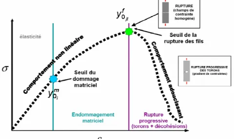 Fig. 2. Schématisation du comportement de matériaux tissés jusqu’à la rupture en statique