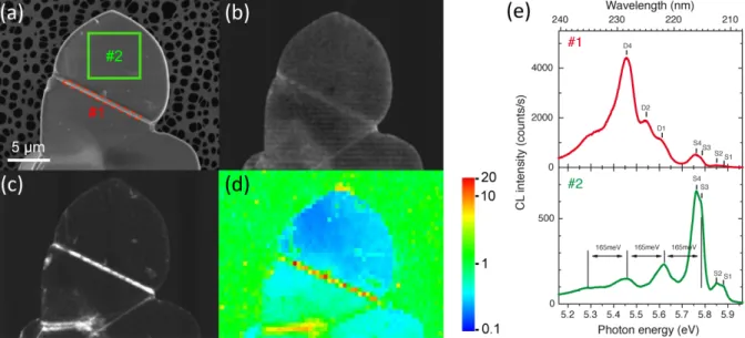 Fig. 1: (a) SEM image of a h-BN crystallite; (b), (c) Corresponding CL images recorded (b) on the main S line (S3-S4), and (c) on the main D line (D4)