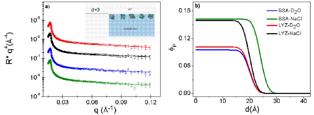 Figure  2:  Adsorption  of  proteins  at  the  air-water  interface:  effect  of  protein  type  and  salt