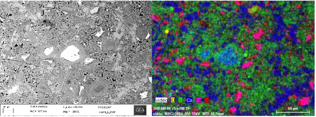Figure 4: Backscattered electron microscope image at 603x of a freeze-dried similar sample of 8 