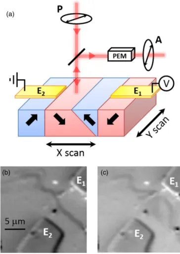 FIG. 2. (a) Schematics of the optical measurement where a focused laser spot is scanned on the sample and two quantities are recorded including the change of light polarization and the current extracted through the electrodes