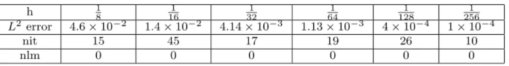Table 1: L 2 error as a function of the discretization step for the VFMON scheme