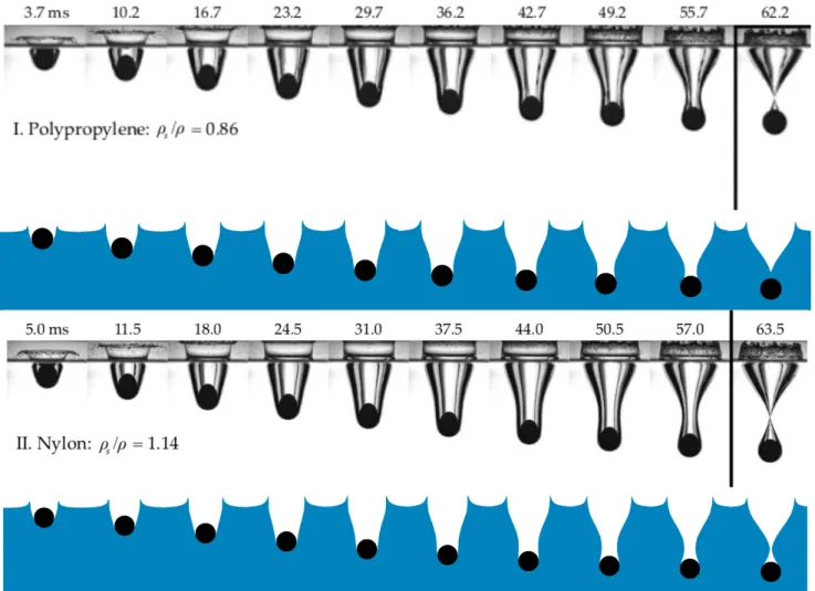 FIGURE 12 Polypropylene and nylon spheres falling on a free surface of water. Numerical (bottom) and experimental (top) snapshot of the sphere entry in water.