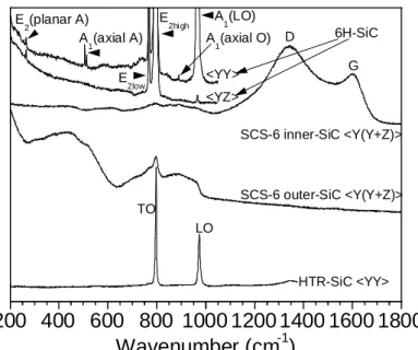 Figure 1: Raman spectra of the various SiC-based materials 