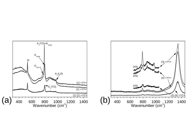 Figure 4: Raman spectra from the crept SCS-6 filament (a) near stoichiometric outer CVD- CVD-SiC, 
