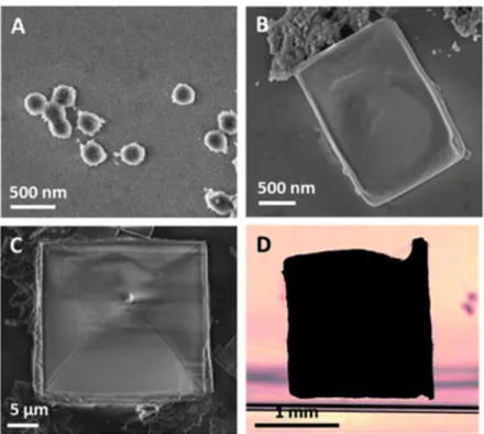 Fig. 4 Self-assembled NDs-H/Cl −  complexes. (A–C) SEM pictures of self-assembled structures  for  increasing  HCl  concentrations