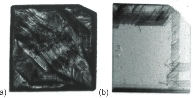 FIG. 3. X ray Topography (white beam) pictures for the ¯220-reflection of (a) Ib and (b) IIa diamond substrate