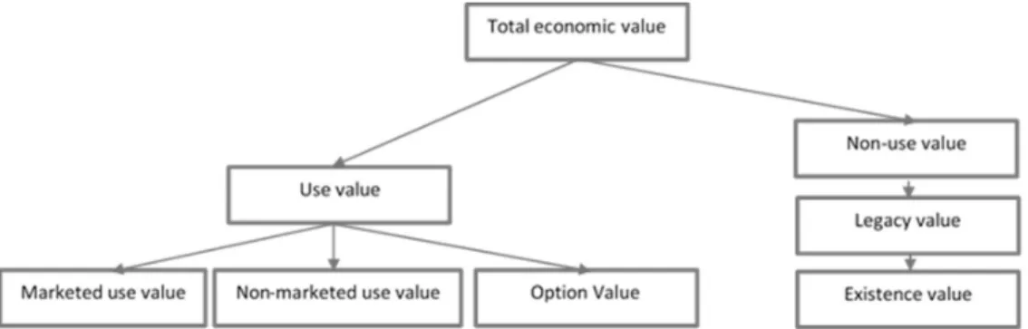 Figure 8: Decomposition of the total economical of an environmental good (Terra, 2005b) 