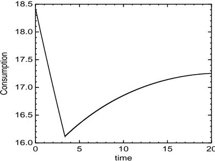 Fig. 1.2  Time path of consumption in the Second-best