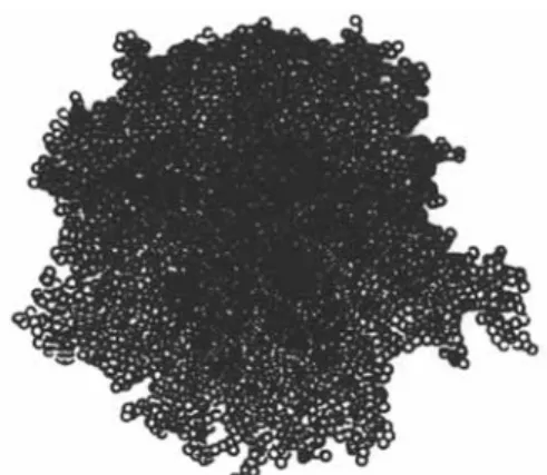 Figure 5 – Représentation schématique d’une  particule de poudre comme un agglomérat fractal de 
