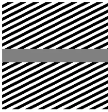 Fig. 9: Poggendorff illusion: input and result by (LHE-3D). Parameters: σ µ = 3, σ ω = 10, λ = 0.5.