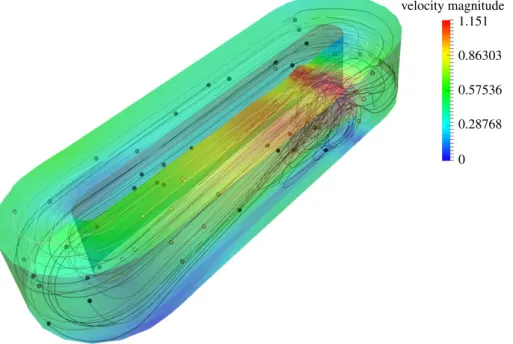 Figure 2. Numerical simulation of raceway hydrodynamics. Three-dimensional representation of the water volume and the velocity field (m s − 1 )