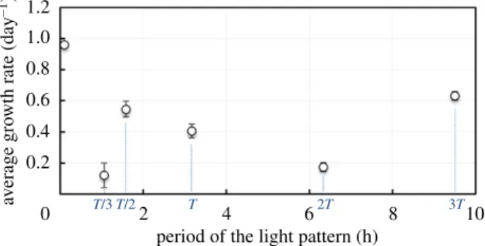 Figure 4. AGR as a function of light pattern period T. The point at datum T = 0 represents continuous illumination.