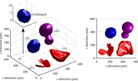 Figure 3. Reconstruction 3D  des défauts observés par tomographie X sur des pièces en TA6V4  obtenues par Selective Electron Beam Melting d’après [1] 