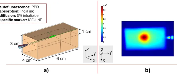 Figure 2. a) Scheme of the optical phantom with a 1cm deep capillary tube filled with ICG-LNP b) Result of the scan : autofluorescence (PPIX) plus specific fluorescence (ICG-LNP)