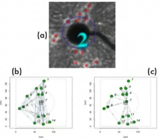 Fig.  1.  (a)  real  network  geometry;  (b)  simulated  network  1;  (c)  simulated  network  4