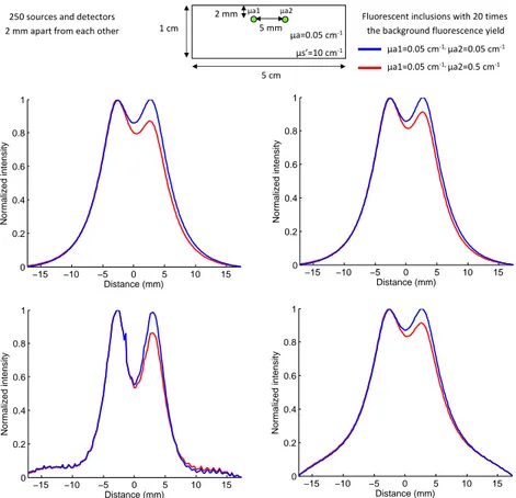 Figure 10. Normalized intensity profiles with the same absorption coefficients (—) and different absorption coefficients (—): top left: WF-FRI; top right: ratio method; bottom left: local parameters fitting method;