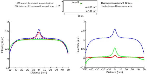 Figure 4. Intensity profiles comparison: left: — raw fluorescence F , - - - autofluorescence, — local param- param-eters fit of the fluorescence M 1 , — global parameters fit of the fluorescence M 2 ; right: — F , — (F − M 1 ),