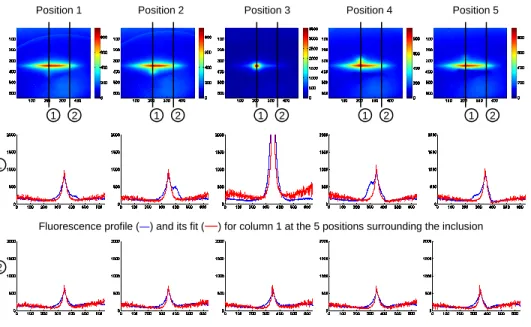 Figure 6. Example of results obtained for 5 positions of the line surrounding a fluorescent inclusion.