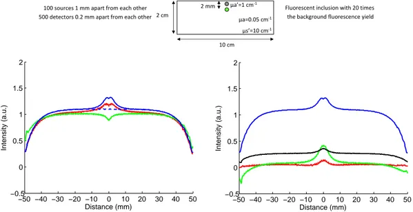 Figure 9. Intensity profiles comparison: left: — raw fluorescence F , - - - autofluorescence, — local param- param-eters fit of the fluorescence M 1 , — global parameters fit of the fluorescence M 2 ; right: — F , — (F − M 1 ),