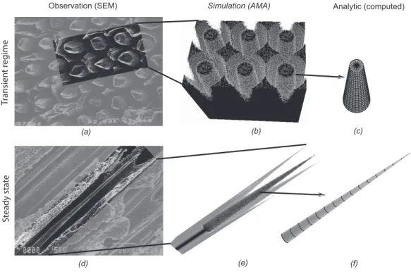 Figure 11: Comparison of experimental and theoreticalmodel results in transient regime and in steady state