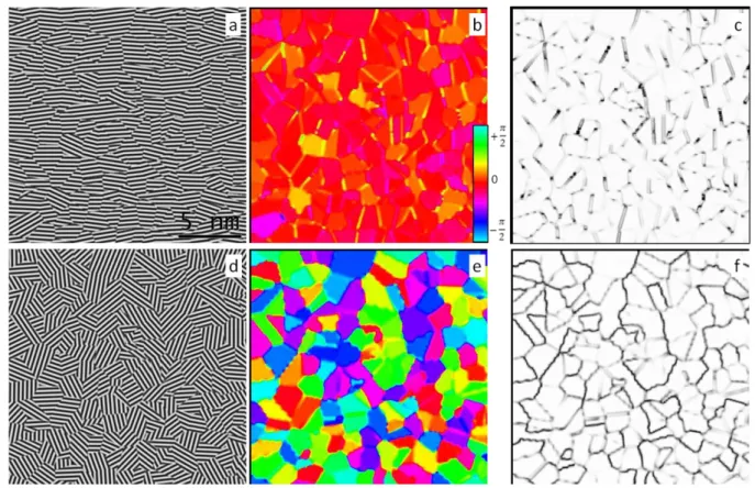 Figure 2: zoom of two artificial lattice fringe images (a,d) and corresponding local orientation  (b,e) and orientation confidences (c,f)